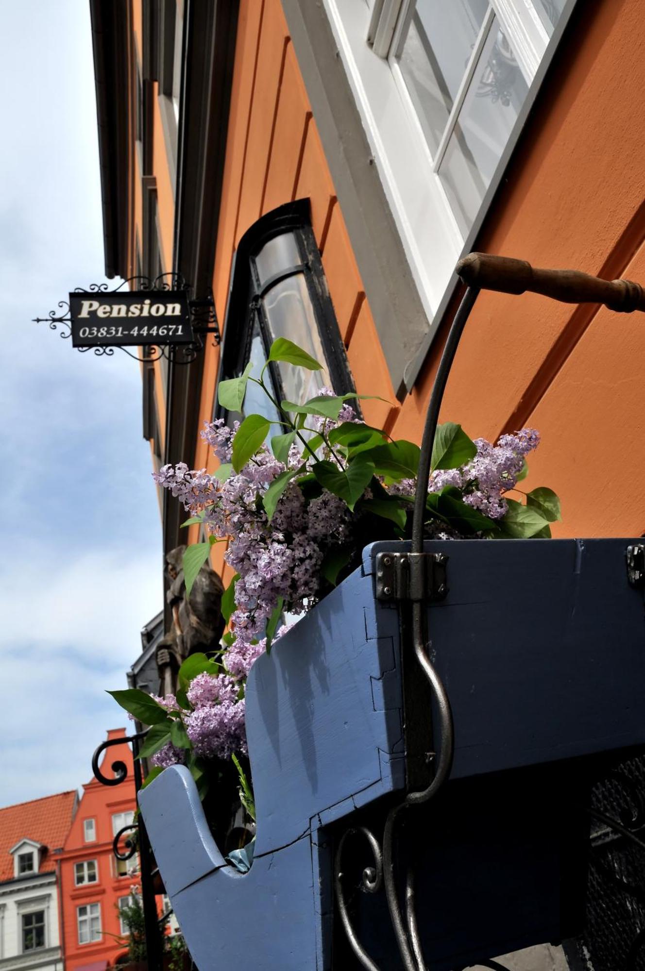 Pension Altstadt Moench In Top Lage Preis Inclusive 5 Prozent Bettensteuer Und Fruehstueck Stralsund Luaran gambar